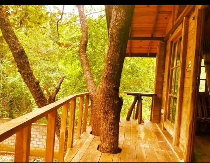 Вілла Luxury Tree House Kibissa Екстер'єр фото