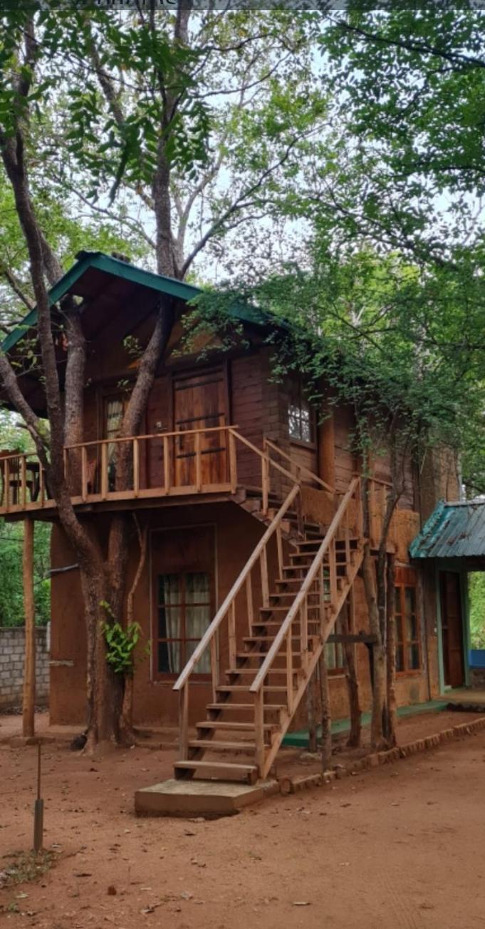 Вілла Luxury Tree House Kibissa Екстер'єр фото