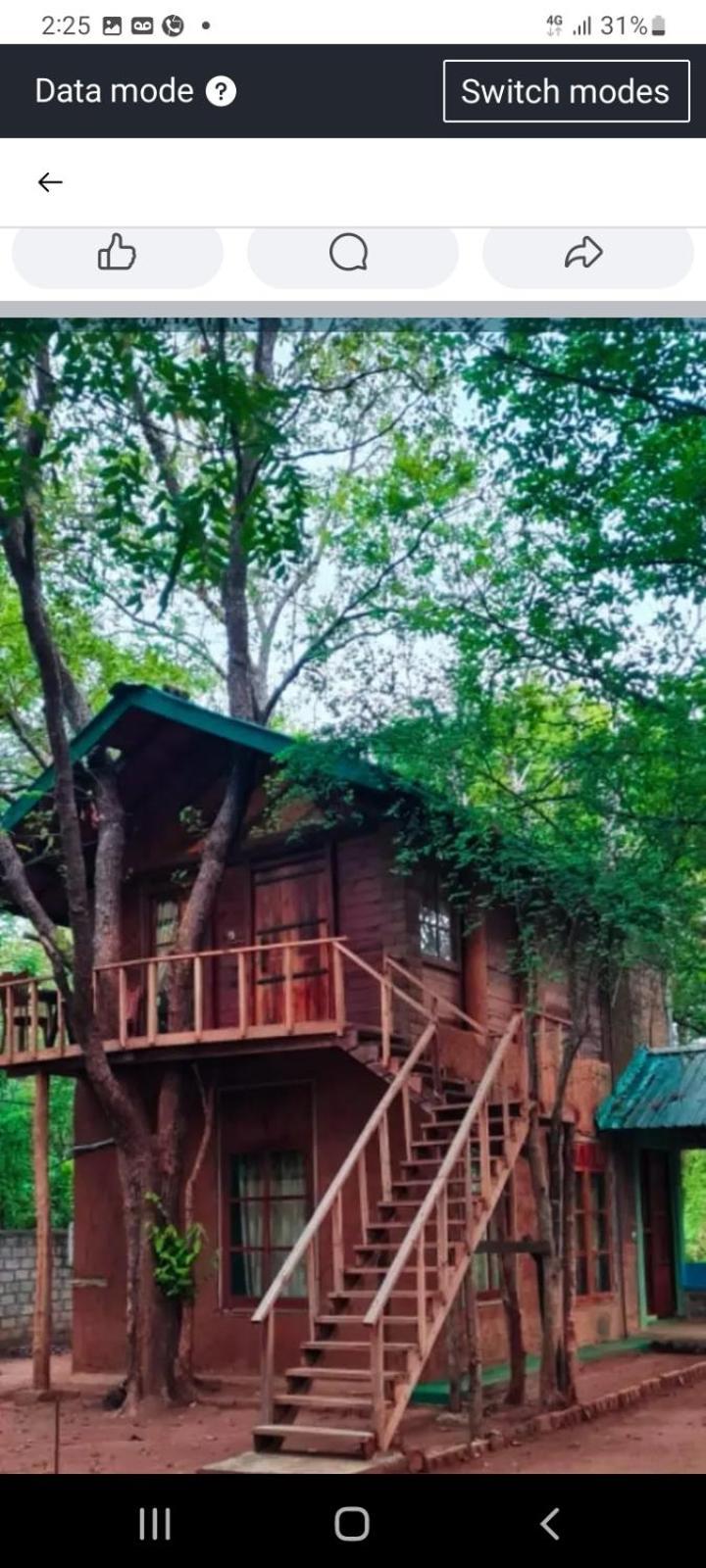 Вілла Luxury Tree House Kibissa Екстер'єр фото